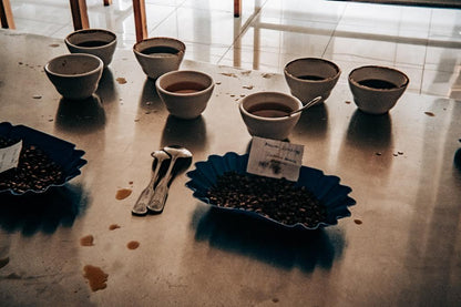 Ethiopia - Tadessa Yonka