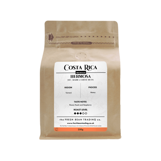 Costa Rica - Hermosa