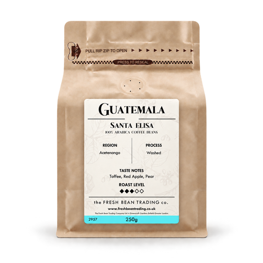 Guatemala - Santa Elisa