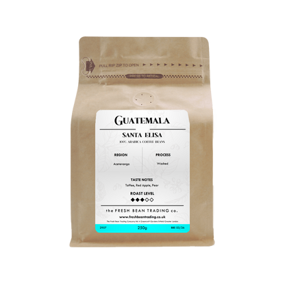 Guatemala - Santa Elisa