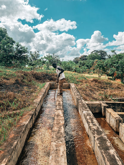 Malawi - Phoka