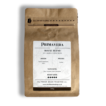 V60 Filter - Bundle
